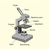 Aufbau eines Mikroskops mit den wichtigsten Teilen