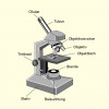 Aufbau eines Mikroskops