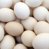 Riboflavin ist reichlich in Eiern enthalten.