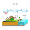 Entstehung und Auswirkung des sauren Regens auf Menschen, Bauwerke und die Natur