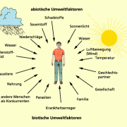 Umweltfaktoren des Menschen 
