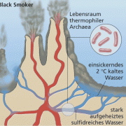Black Smoker 