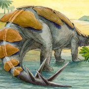 Landsaurier (Stegosaurus) 