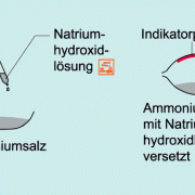Nachweis von Ammonium-Ionen. 