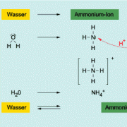 Reaktion von Ammoniak und Wasser 