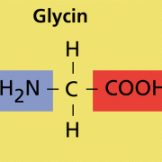 Glycin ist 2-Aminoethansäure. 