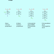 Bei Aminosäuren kann die Stellung der Aminogruppe unterschiedlich sein. Danach werden sie zunächst eingeteilt. 