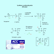 ACC - Acetylcystein macht den Schleim dünnflüssiger und unterstützt so das "Abhusten". 