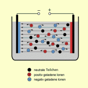 Ionen in wässriger Lösung im elektrischen Feld 