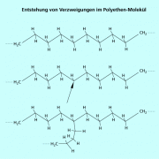 Entstehung von Verzweigungen im Polyethen-Molekül 