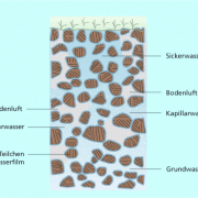 Der Boden besteht zu etwa 50 % aus festen Bestandteilen und 50 % aus Poren, die das Bodenwasser und die Bodenluft enthalten. 
