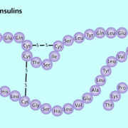 In dieser vereinfachten Darstellung der Insulinstruktur sind die Schwefelbrücken zwischen den Cystein-Resten hervorgehoben. 