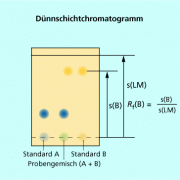 Bestimmung des Retentionsfaktors aus einem Dünnschichtchromatogramm (mit Vergleichssubstanzen). 