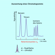 Auswertung eines Chromatogramms (Trennung aromatischer Kohlenwasserstoffe) 