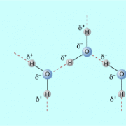 Wassermoleküle mit Wasserstoffbrückenbindungen 