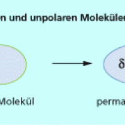 Auch zwischen unpolaren Molekülen wirken anziehende und abstoßende VAN-DER-WAALS-Kräfte. 