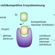 Kompetitive (c) und nichtkompetitive (b) Hemmung eines Enzyms 