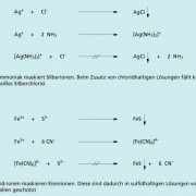 Beispiele für das Ausbleiben bestimmter Ionenreaktionen aufgrund von Komplexbildung 