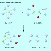Bildung des Calcium-EDTA-Komplexes 