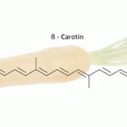 β-Carotin kommt z. B. in Mohrrüben vor. 