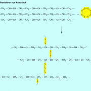 Chemische Reaktionen bei der Vulkanisation 