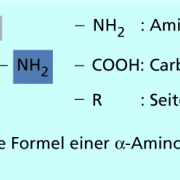 Struktur einer Aminosäure 