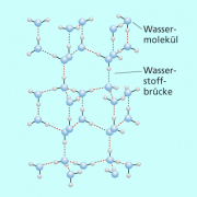 Die Wassermoleküle sind im Kristallgitter von Eis durch viele Wasserstoffbrückenbindungen miteinander verbunden. 