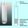 Die Fällung von Bariumsulfat dient zum Nachweis der Barium- und der Sulfat-Ionen. 