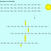 Schwefelbrückenbildung bei der Vulkanisation von polymerisiertem trans-1,4-Butadien 