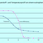 Profil der Temperatur und der relativen Sauerstoffsättigung an einem eutrophen See im Frühsommer 