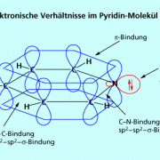 Elektronische Verhältnisse im Pyridin-Molekül 