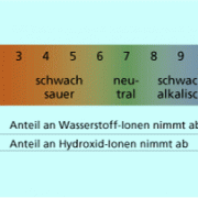 Der pH-Wert basischer Lösungen liegt zwischen 7 und 14. 