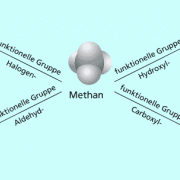 Ein organisches Molekül mit einem Kohlenstoffatom kann vier verschiedene funktionelle Gruppen tragen. 
