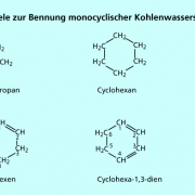 Beispiele zur Benennung monocyclischer Kohlenwasserstoffe 