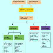 Die natürlichen Aminosäuren werden nach der Polarität der Moleküle unterteilt. 