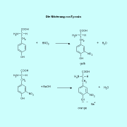 Auf dem gleichen Reaktionsprinzip wie die Nitrierung von Tyrosin beruht die Xanthoprotein-Reaktion, die als Nachweis für Eiweiße dient. 