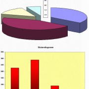 Torten- und Säulendiagramme lassen sich leicht aus Excel-Dateien generieren. 