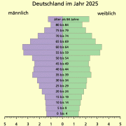 Der Lebensbaum der Deutschen im Jahr 2025 