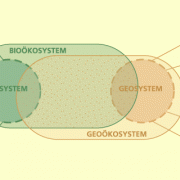 Das Geoökosystem 