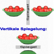 In Zeichenprogrammen lassen sich Objekte bzw. eine aktive Auswahl horizontal oder vertikal spiegeln. 