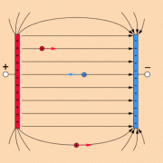 Feld eines Plattenkondensators: Zwischen den Platten existiert ein homogenes Feld, also ein Feld, dessen Stärke überall gleich groß ist. 