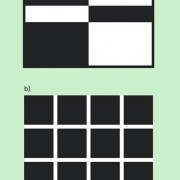 Helle und dunkle Flächen führen leicht zu Kontrasttäuschungen: Bei Bild 6a sind die helle und dunkle Fläche in der Mitte gleich breit. Bei Bild 6b sind die Bereiche zwischen jeweils vier schwarzen Quadraten nicht grau, sondern weiß. 