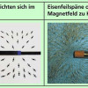 Kleine Magnete oder Eisenfeilspäne richten sich in einem Magnetfeld in charakteristischer Weise aus. 