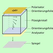 Flüssigkristallanzeigen (LCD) in Physik, Schülerlexikon