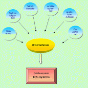 Faktoren zur Einführung des TQM 